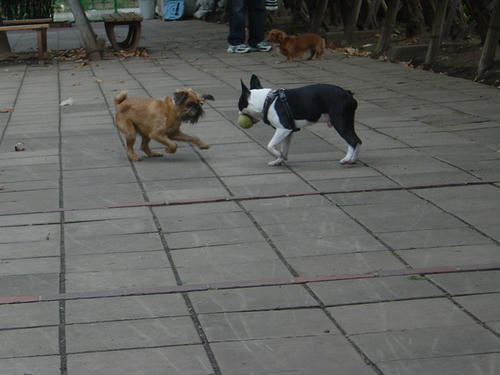20081018_komazawa05.jpg