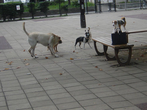 20081018_komazawa08.jpg