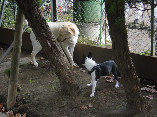 20081018_komazawa10.jpg