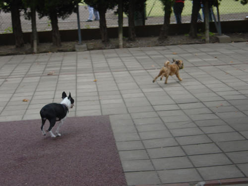 20081018_komazawa13.jpg