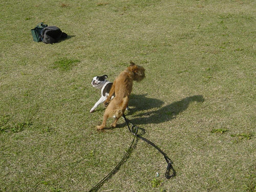 20081019_ginshio02.jpg