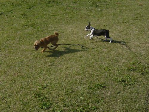 20081019_ginshio03.jpg