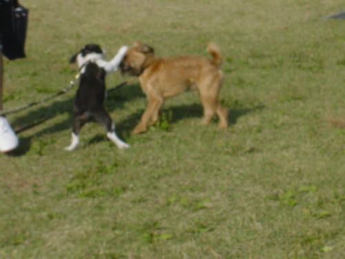 20081019_ginshio04.jpg