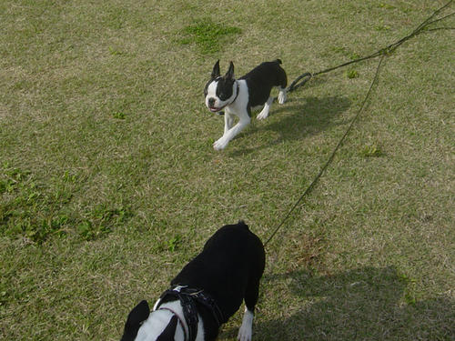20081019_rokushio01.jpg