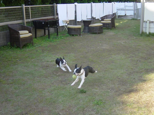20081101_rokushio01.jpg