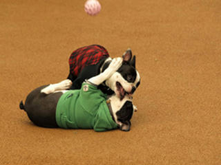 20081025_zenmaishio04.jpg