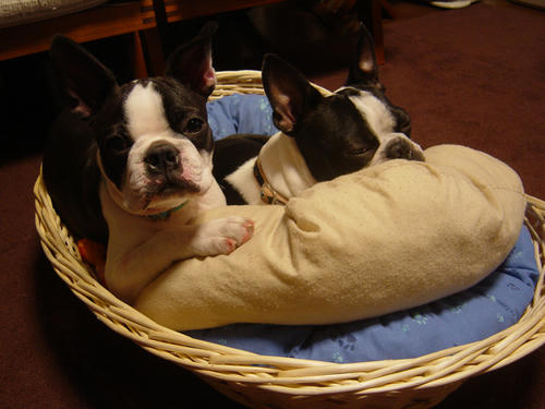 20081120_rokushio01.jpg