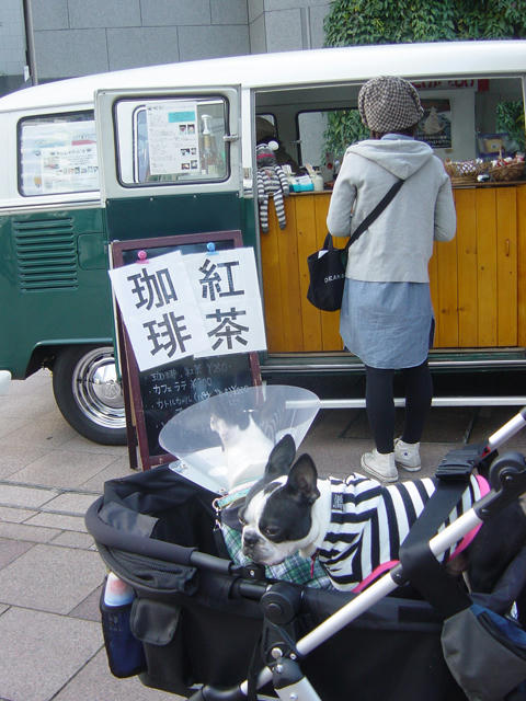 20081123_asaichi03.jpg
