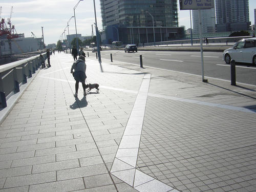20081123_rokusanpo02.jpg