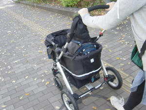 20081123_rokushiosanpo03.jpg