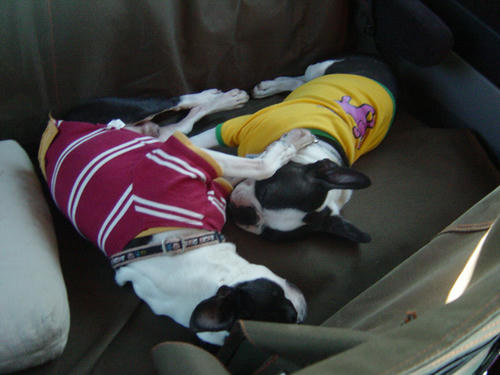 20081129_rokushioincar01.jpg