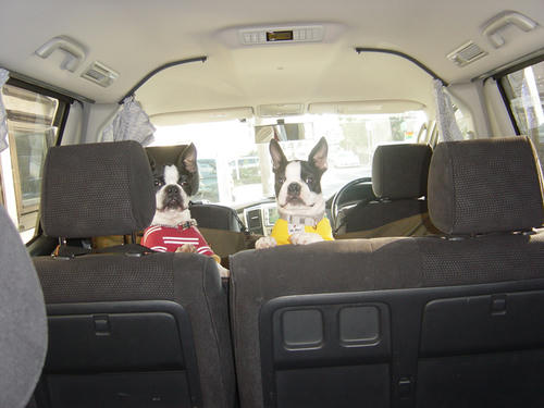 20081129_rokushioincar02.jpg