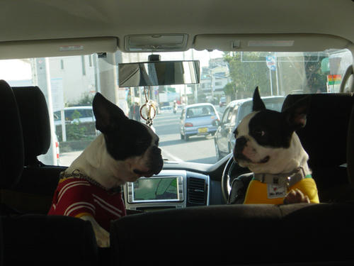 20081129_rokushioincar03.jpg