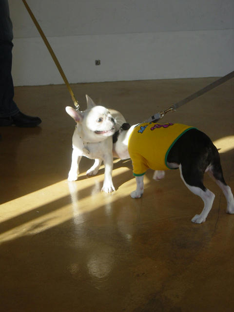 20081129_shioschool01.jpg