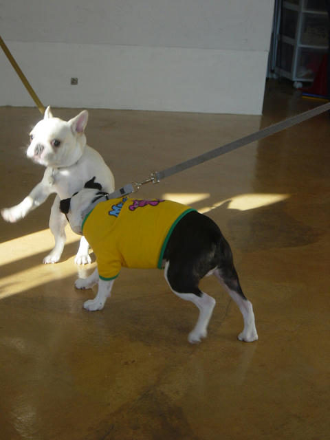 20081129_shioschool02.jpg