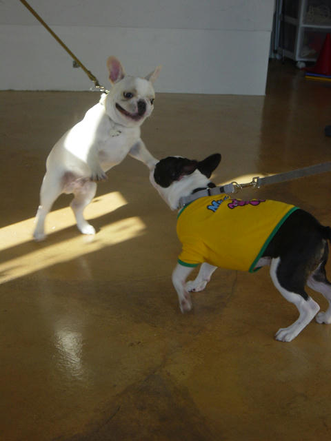 20081129_shioschool03.jpg