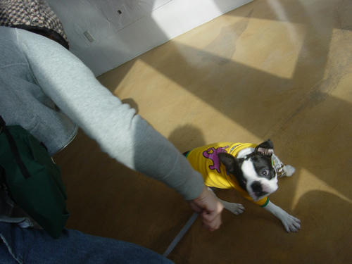 20081129_shioschool05.jpg