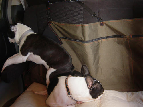 20081207_rokushiosleep06.jpg