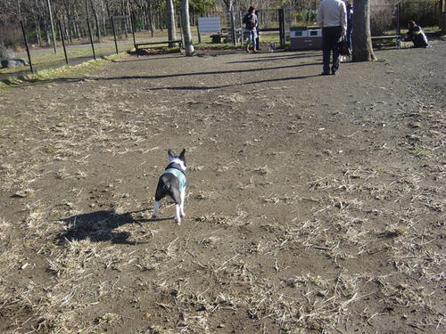 20081206_ashigaraSA04.jpg