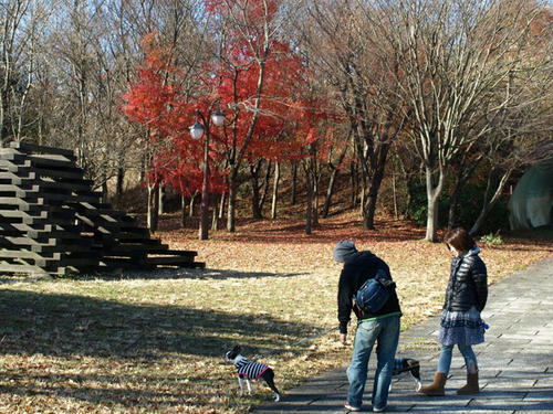 20081206_ashigaraSA05.jpg