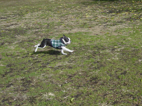20081206_FDGrun01.jpg