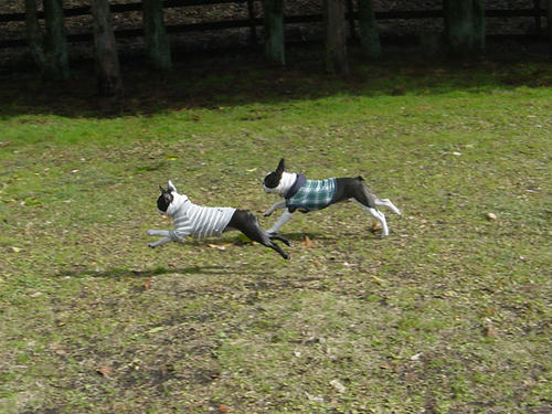 20081206_FDGrun03.jpg