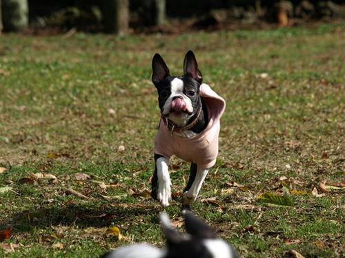 20081206_FDGrun09.jpg