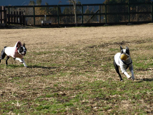 20081206_FDGrun10.jpg