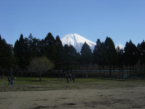 20081206_asagiriFDG01.jpg