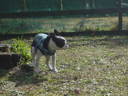 20081206_shio01.jpg