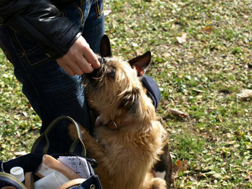 20081206_gin03.jpg