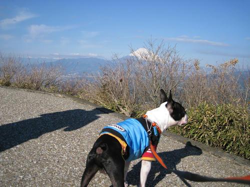 20081220-21_travel010.jpg