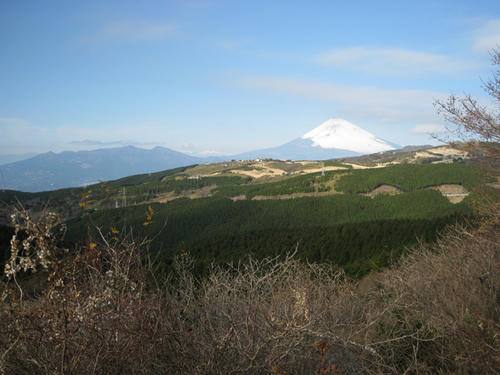 20081220-21_travel006.jpg