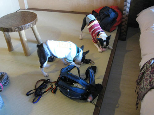 20081220-21_travel027.jpg