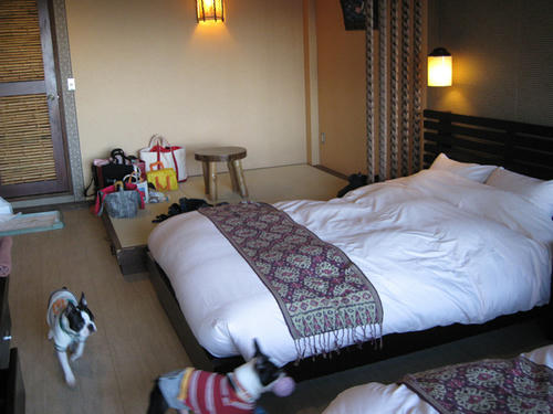 20081220-21_travel028.jpg
