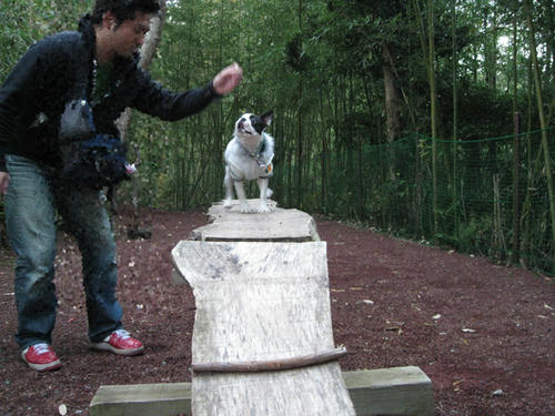 20081220-21_travel049.jpg