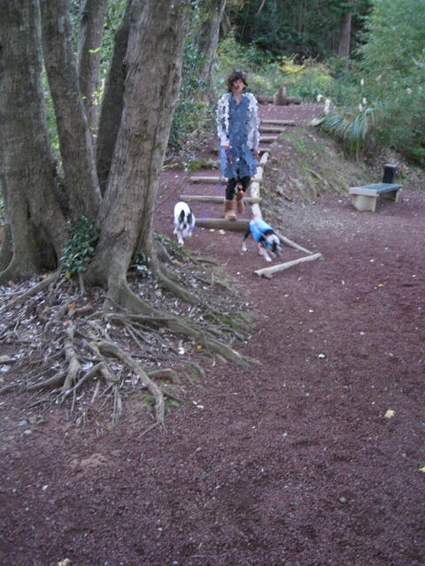 20081220-21_travel050.jpg