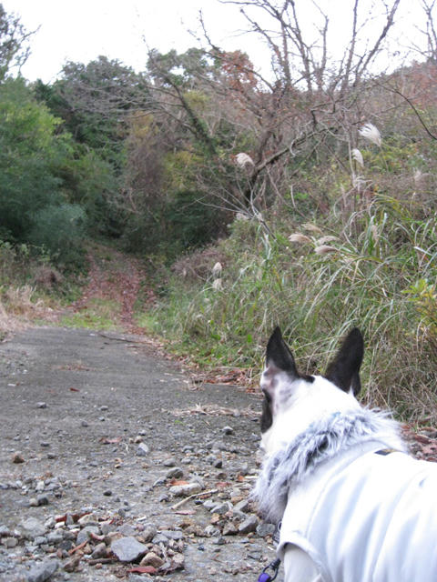 20081220-21_travel054.jpg