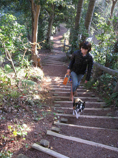 20081220-21_travel089.jpg