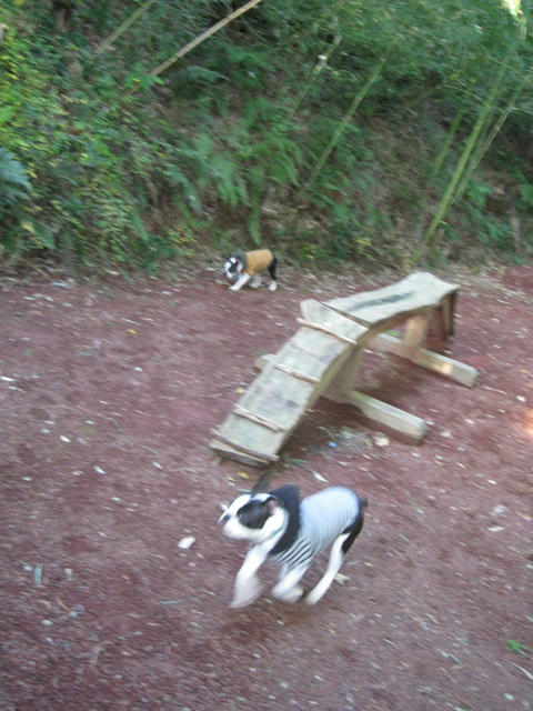 20081220-21_travel090.jpg