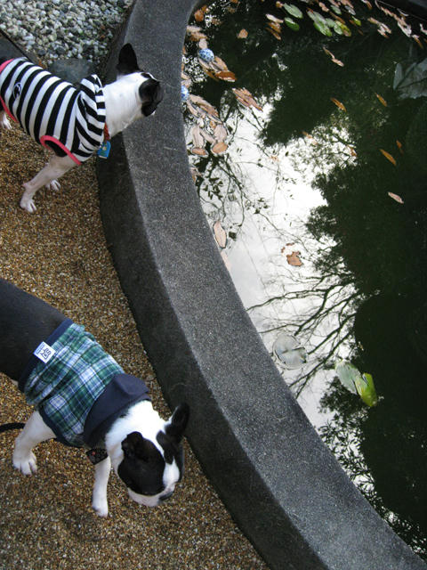 20081220-21_travel105.jpg