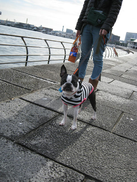 20081223_candolCafe14.jpg