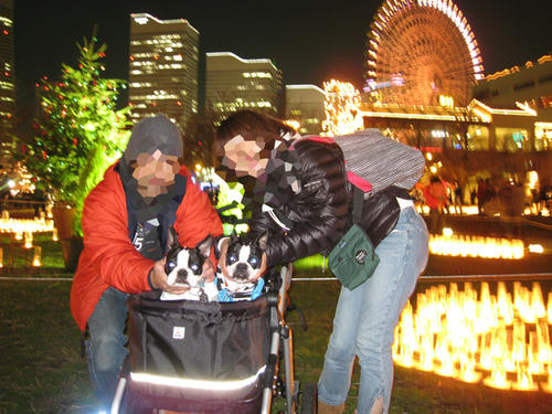 20081223_candolCafe04.jpg