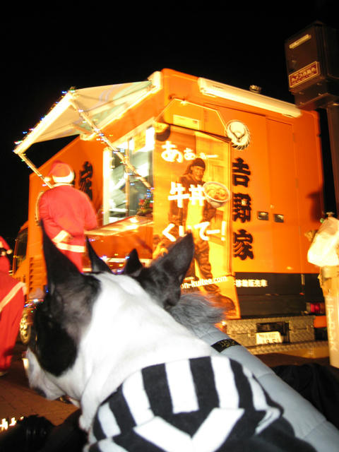 20081223_candolCafe03.jpg