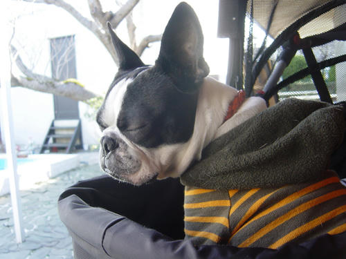 20090124_kamakura04.jpg