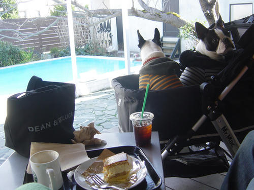 20090124_kamakura05.jpg