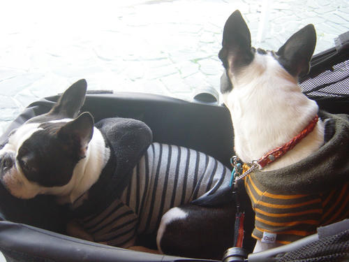 20090124_kamakura06.jpg