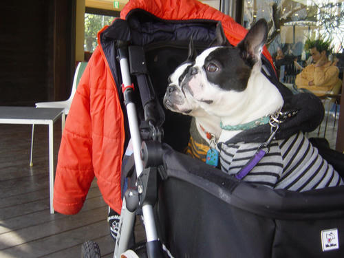 20090124_kamakura08.jpg