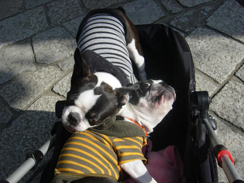20090124_kamakura10.jpg