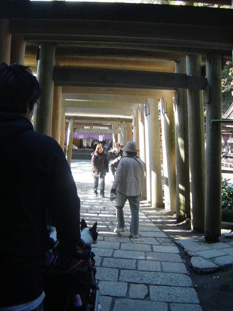 20090124_kamakura12.jpg